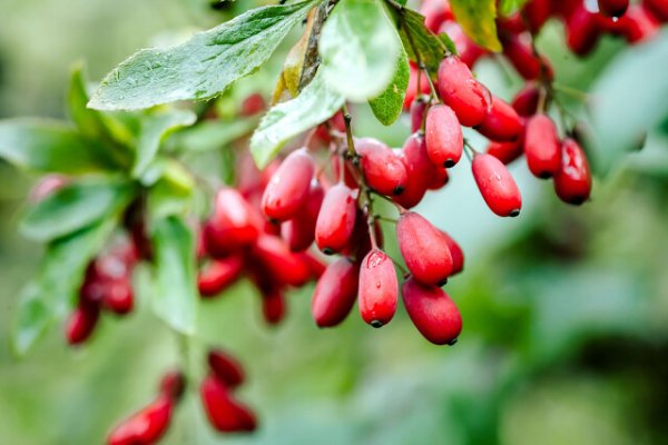 I - 2025-10-22T122109.562