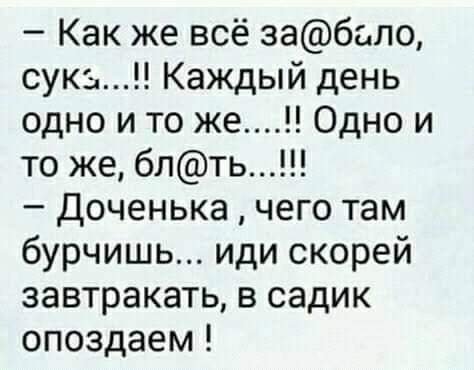 IMG 1541160565006