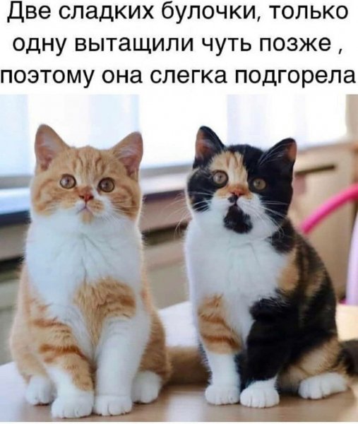 Слегка подгорела