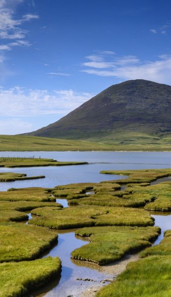 Screenshot 20260306-121910 One UI Home