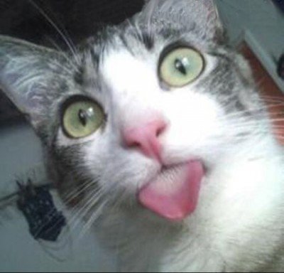 Котэ