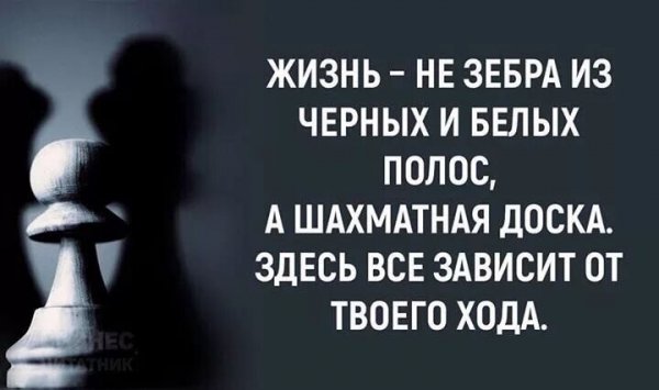 Жизнь...