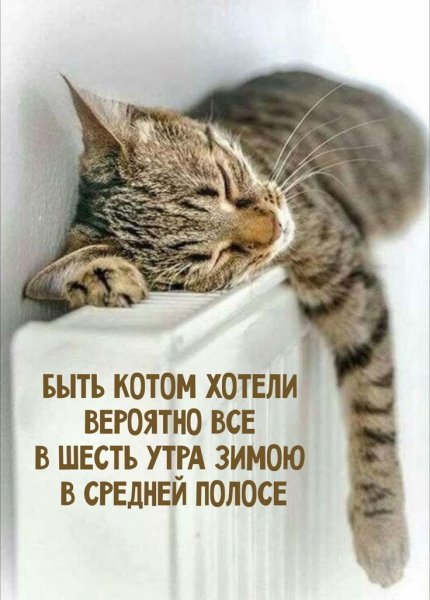 В средней полосе