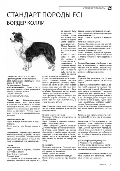 Стандарт породы