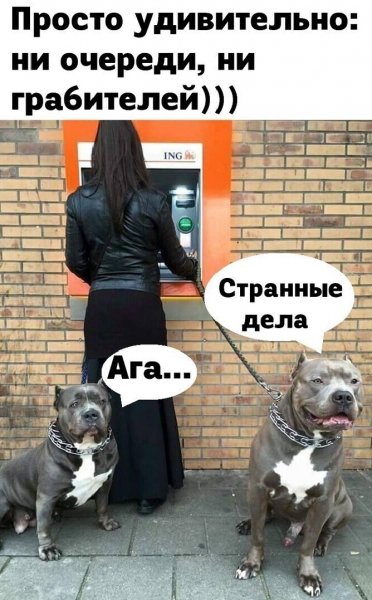 Странные дела