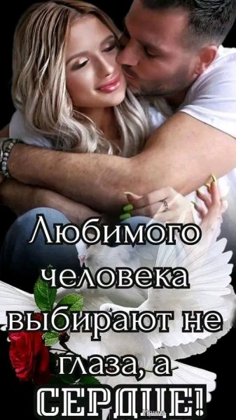 Любовь