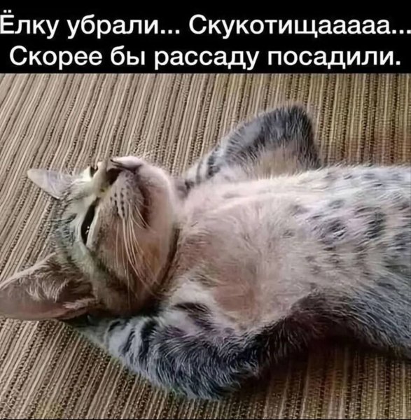 picture_405673421