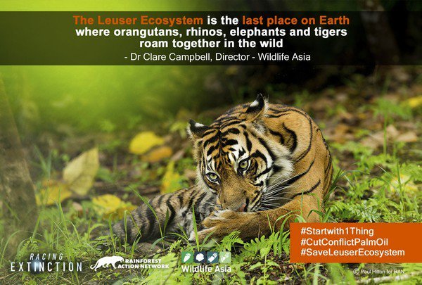 "Racing Extinction"