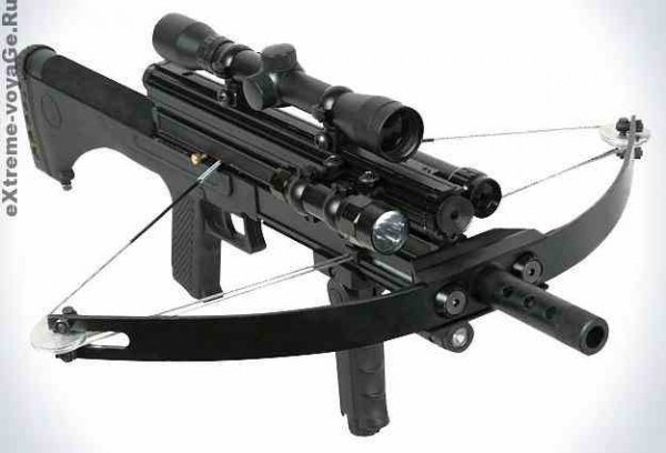 p.600.600.0