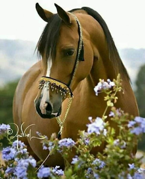 21-04-00-242037658 405919214386923 2736392248537079753 n