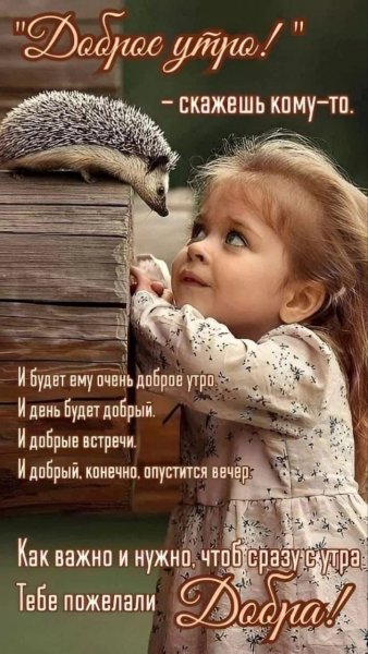 32d21be5a8fb48cea724f74dc9b78378