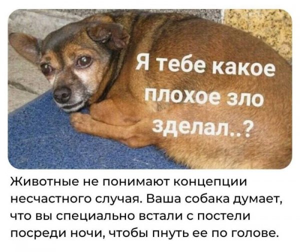 65cbd78eb1 memy-kotorye-zastavjat-vas-smejatsja-do-slez-14