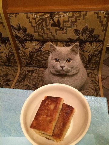 Тренировка силы воли