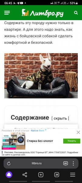 Screenshot 20241221 064514 Yandex Browser