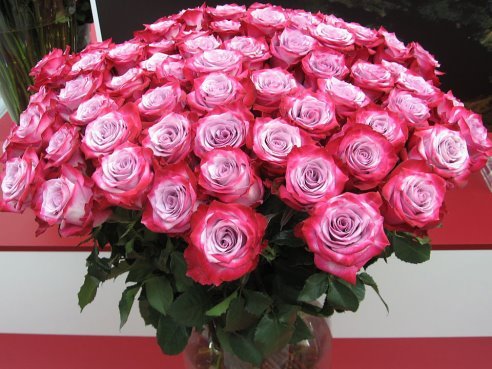 getImage(15)