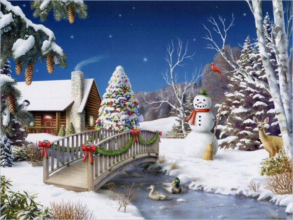 www.nevsepic.com.ua