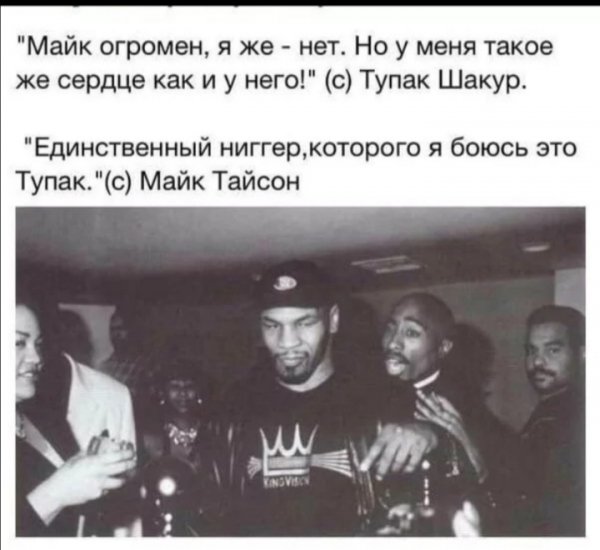 Screenshot 20241208 110437