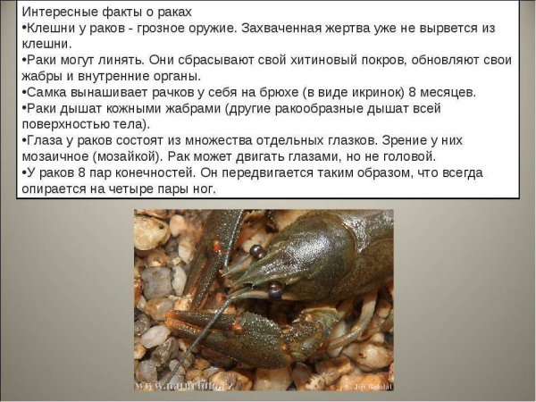 Это интересно