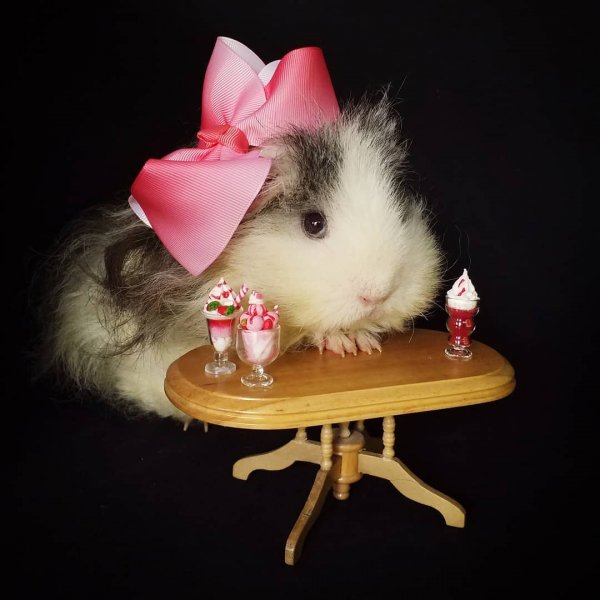 14-04-10-206918975 126932612881801 4109097651271944569 n