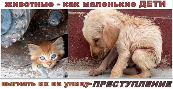 Преступление
