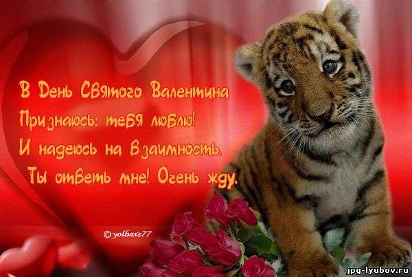 getImage (71)