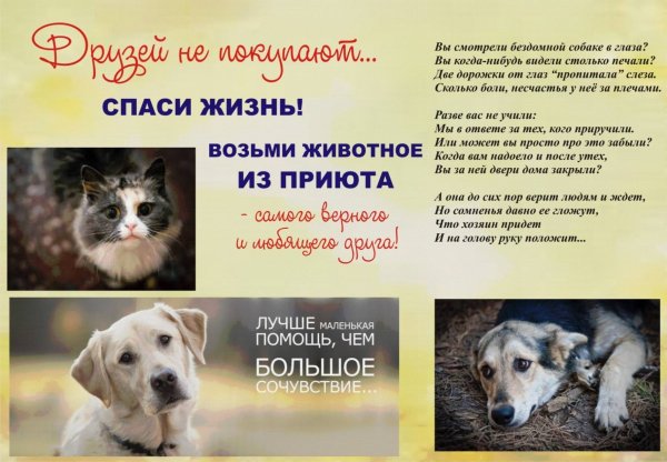 Друзей не покупают...