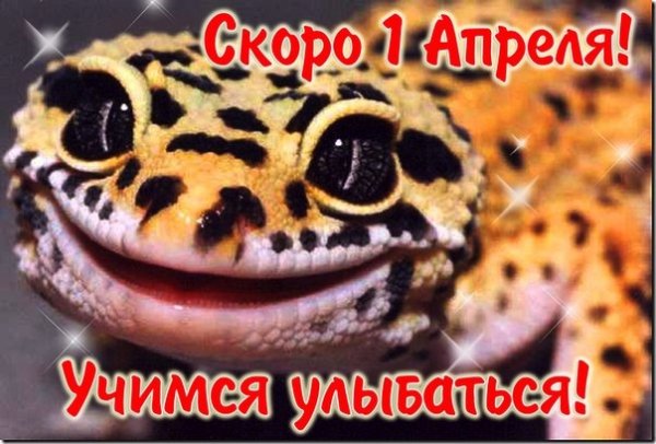 skoro