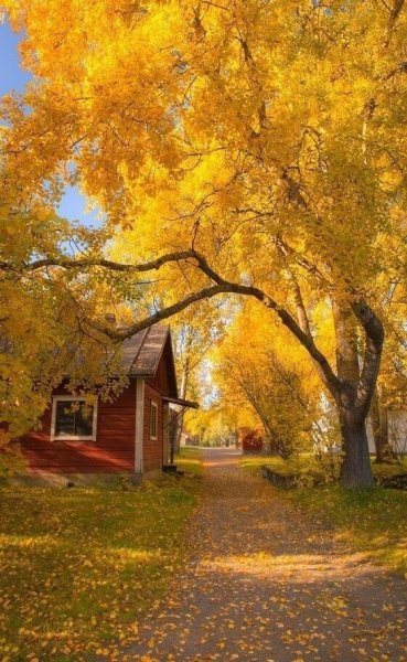 Осенний дворик