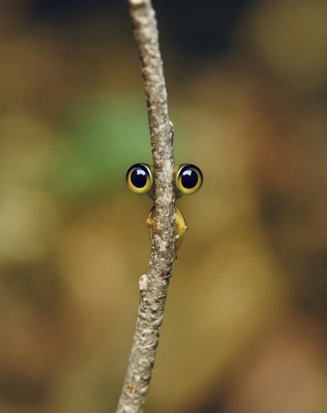 8bbc15e753215401e3379e108f1757a2