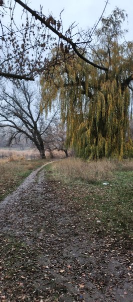 Дорога в зиму...