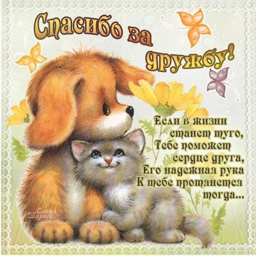 Spasibo-za-druzhbu-esli-v-zhizni-stanet-tugo-tebe-pomozhet
