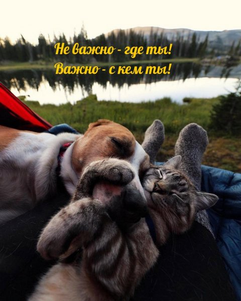 Пожелания by FatalframeRUS (66)