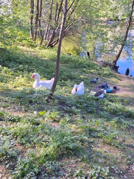 picture_363676597