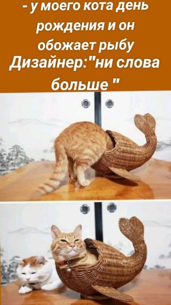 Ни слова больше