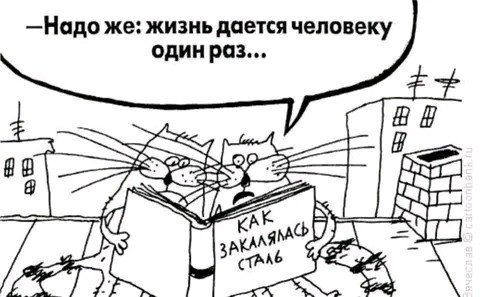 Жизнь дается