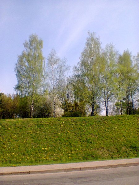 Nt2