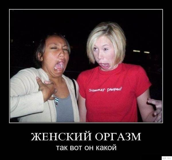 Demotivatory (54)