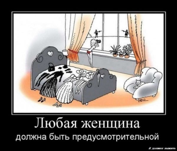 IMG 20250409 193845