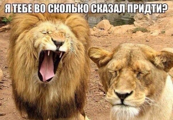 picture_120173550