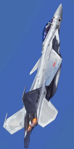 Ф-15джей