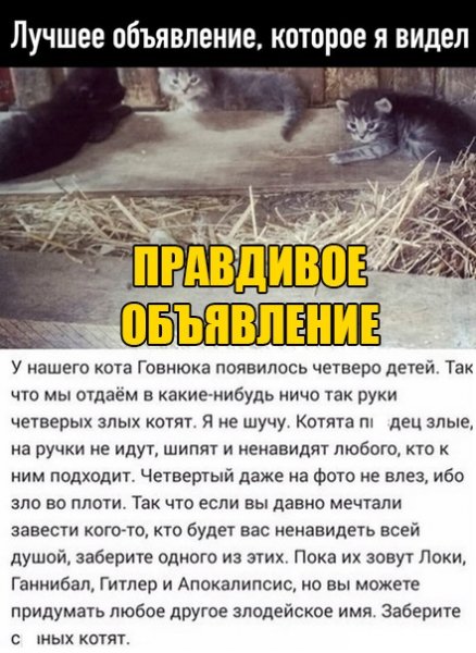 КотЭ)