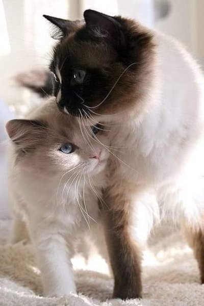 FB IMG 1613231013684