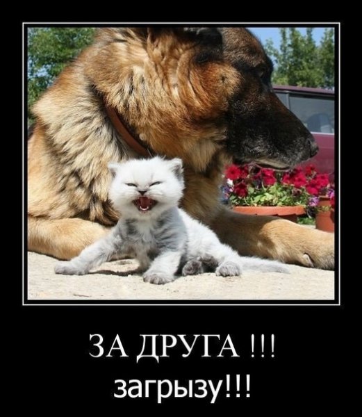 Загрызу!!!