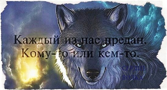 saved-image-