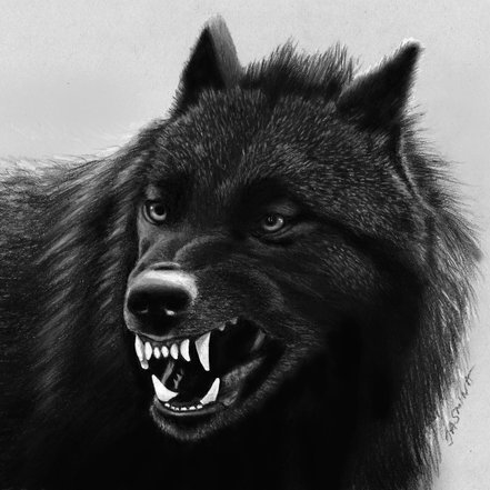 Pencildraw 5703778 23896493-1