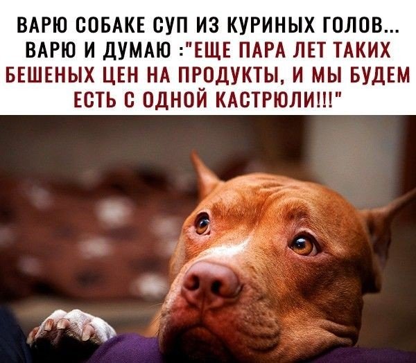 0aa858f2f6985af6841b9c8b06843bcd