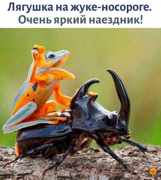 IMG 20211224 204619