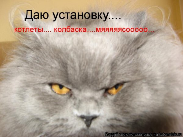 Даю установку...