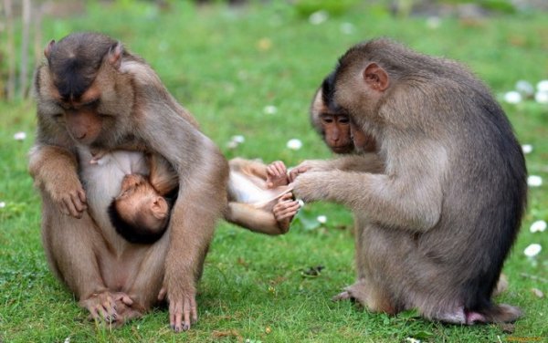 3zarjadites-pozitivom-images-big