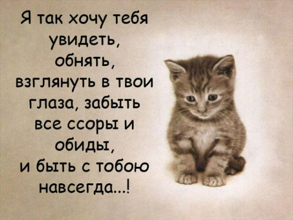 picture_10658593